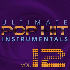 收聽Hit Crew Masters的Lemon Tree (Instrumental Version)歌詞歌曲
