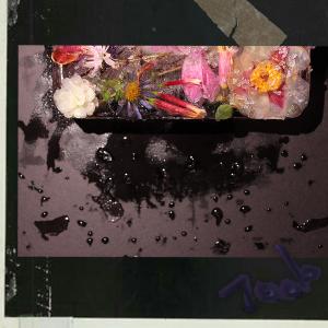 Album The Last Cold Snap from Joob A
