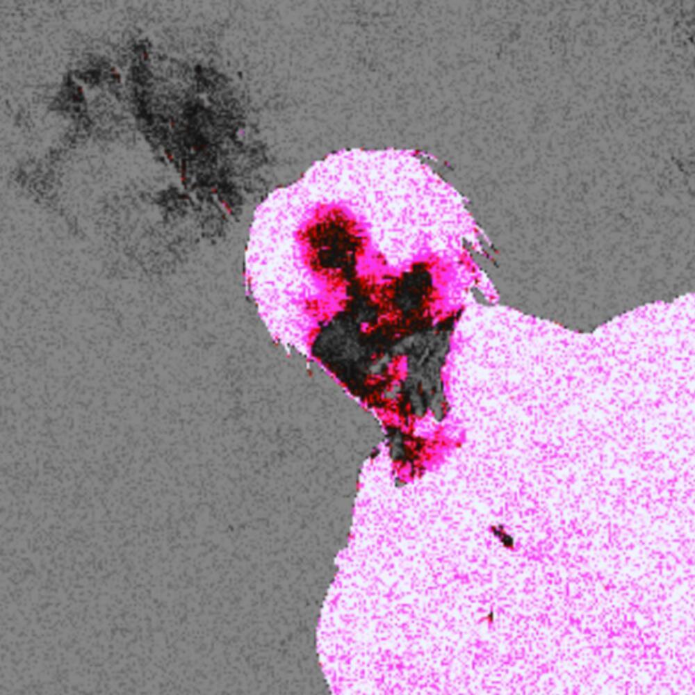 PHANTASMAGORIA (Explicit)
