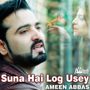 ดาวน์โหลดและฟังเพลง Suna Hai Log Usey พร้อมเนื้อเพลงจาก Ameen Abbas