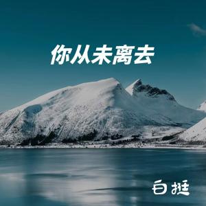Listen to 你从未离去 (2022新版) song with lyrics from 白挺