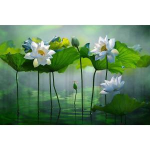 Listen to Nhẹ Nhàng song with lyrics from Thanh Tùng TN