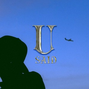 Album U Said from Aubreytrnql