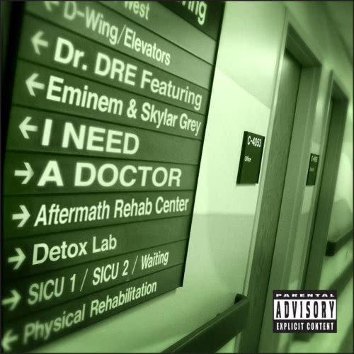 I Need A Doctor (feat. Eminem & Skylar Grey) (Explicit)