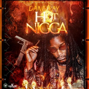 ดาวน์โหลดและฟังเพลง Hot Nigga (Explicit) พร้อมเนื้อเพลงจาก Dane Ray