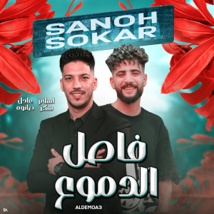 اسلام سكر的专辑Fasel Eldemo3