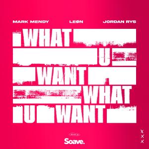 Album What U Want from Mark Mendy