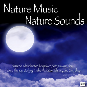 收聽Nature Music: Nature Sounds的Downpour歌詞歌曲
