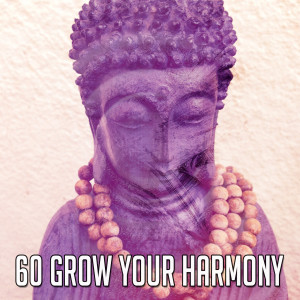 Yoga Tribe的专辑60 Grow Your Harmony