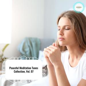 Various Artists的專輯Peaceful Meditation Tunes Collection, Vol. 07