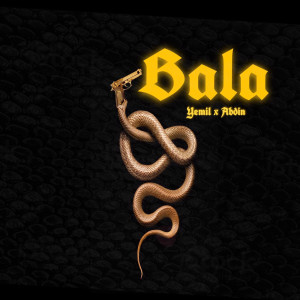 Listen to Bala song with lyrics from Abdin