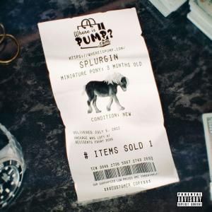 ดาวน์โหลดและฟังเพลง Splurgin (Explicit) พร้อมเนื้อเพลงจาก Lil Pump