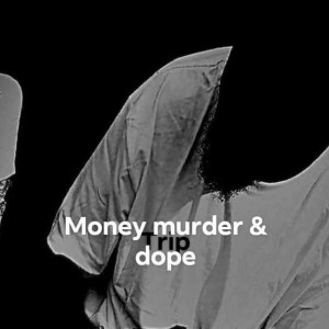 Listen to In My Mind (Explicit) song with lyrics from Trip