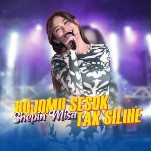 Dengarkan Bojomu Sesok Tak Silihe lagu dari Shepin MIsa dengan lirik