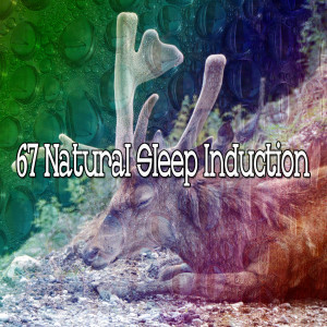 Dengarkan Focus on Sleeping lagu dari Spa Music Paradise dengan lirik