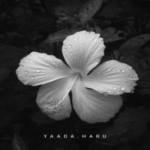 Cyrus的專輯YAADA HARU