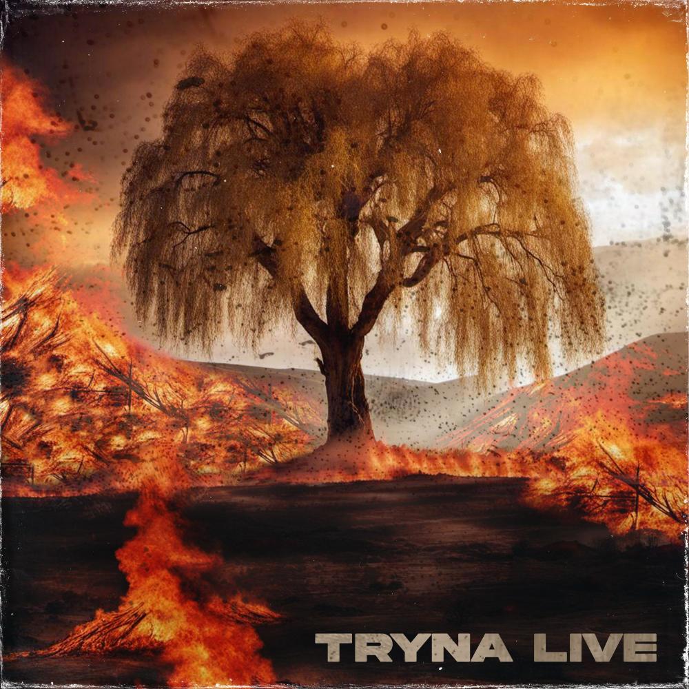 TRYNA LIVE (feat. Agi-State, Vince Duysters, Kam Beats & TReBeats) (Live|Explicit)