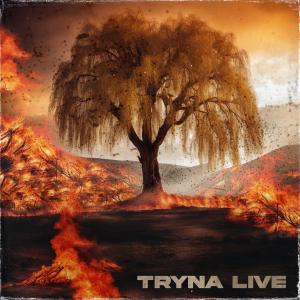 อัลบัม TRYNA LIVE (feat. Agi-State, Vince Duysters, Kam Beats & TReBeats) [Live] [Explicit] ศิลปิน K4m