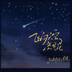 Album 飞向天空变星星 from 张德伊玲