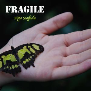 收聽Pippo Scagliola的Fragile歌詞歌曲
