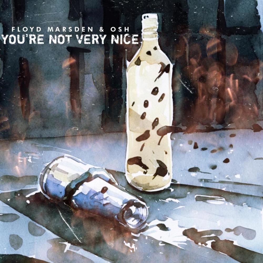 You're Not Very Nice (feat. Osh) (Explicit)