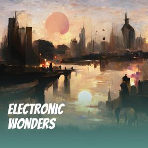 Album Electronic Wonders oleh Pani Fvnky