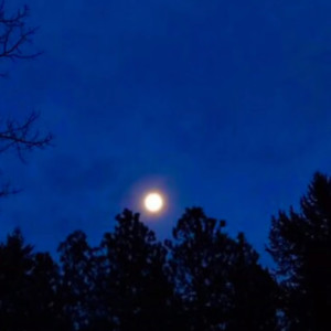 Listen to After Dark (Slowed) song with lyrics from XDee Night