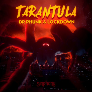ดาวน์โหลดและฟังเพลง Tarantula พร้อมเนื้อเพลงจาก Dr Phunk