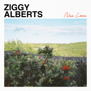 อัลบัม New Love ศิลปิน Ziggy Alberts