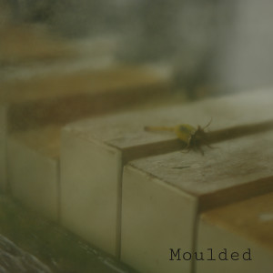ดาวน์โหลดและฟังเพลง A Joke's a Joke พร้อมเนื้อเพลงจาก Moulded