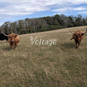 Listen to Voltage song with lyrics from David Buckley