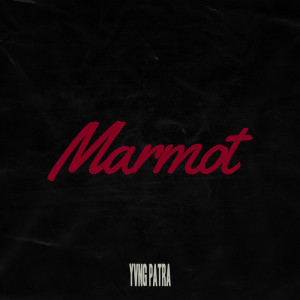 Dengarkan Marmot (Explicit) lagu dari Yvng Patra dengan lirik