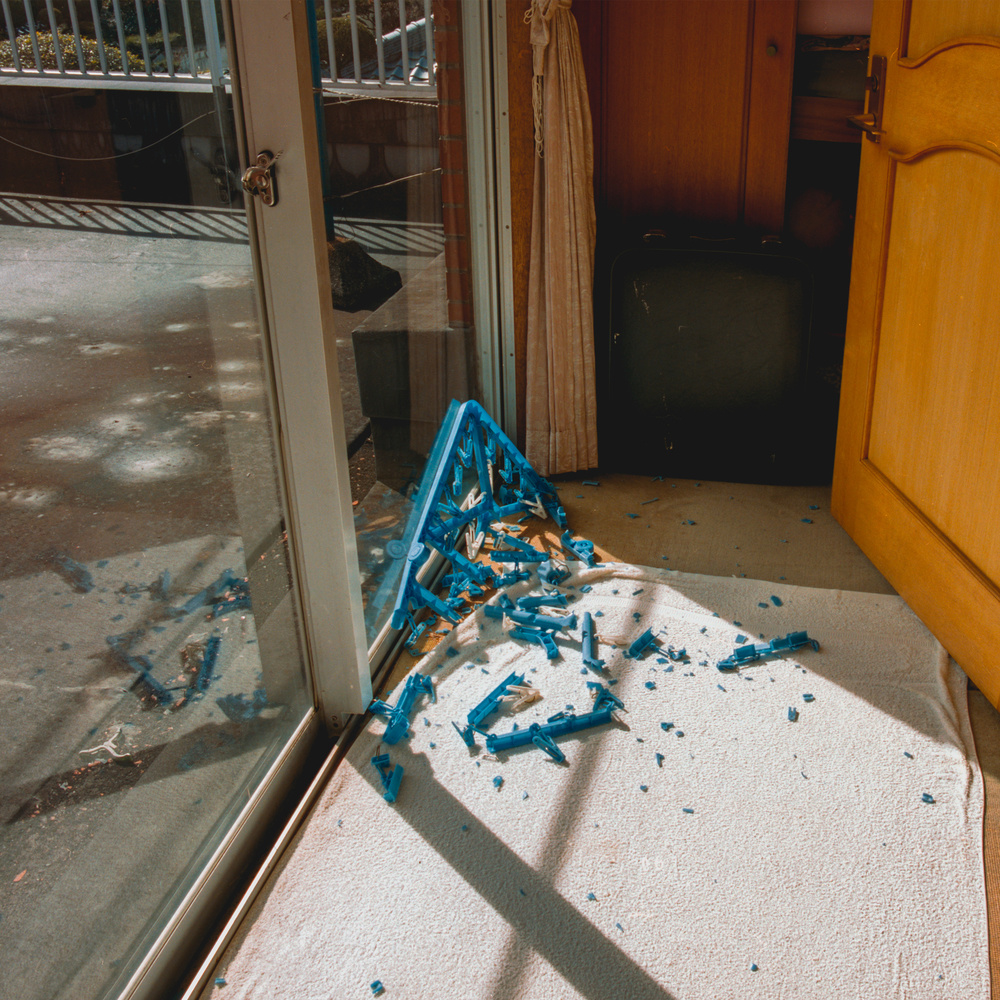 190519_rollin_a.y.a_scat