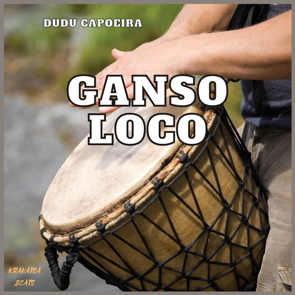 Ganso Loco
