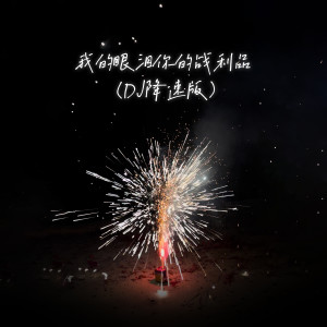 Listen to 我的眼泪你的战利品 (DJ降速版) song with lyrics from 于冬然