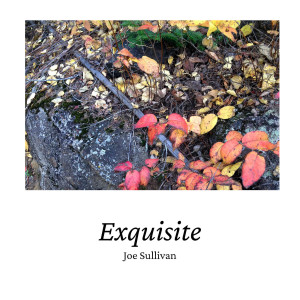 Album Exquisite from Joe Sullivan