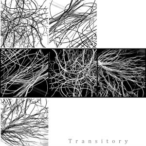 Maelstrom的專輯Transitory