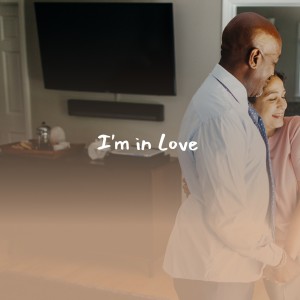 ดาวน์โหลดและฟังเพลง Today I Started Loving You Again พร้อมเนื้อเพลงจาก Merle Haggard