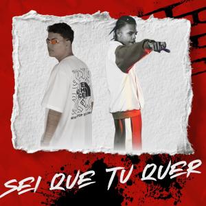 收聽DJ CR SHEIK的SEI QUE TU QUER (feat. Mc J9 & Mc Jhey)歌詞歌曲