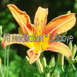 78 Meditation Lullabye