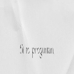 Album Si te preguntan from Dj viral tiktok
