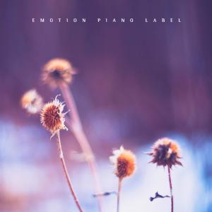 Dengarkan Winter sky of memories lagu dari Presefa dengan lirik