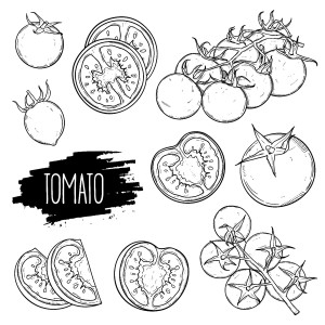 收聽Ella Fitzgerald & Louis Armstrong的You Say Tomato, I Say Tomato歌詞歌曲