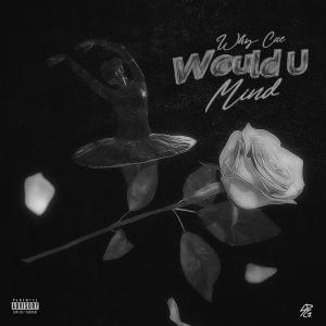 Album Would U Mind (Explicit) from Why Cue
