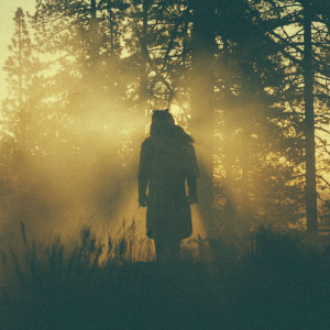 ดาวน์โหลดและฟังเพลง Hard Times พร้อมเนื้อเพลงจาก Thundercat