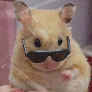 收聽dj biell的rato joga歌詞歌曲