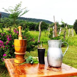 ดาวน์โหลดและฟังเพลง El Tereré พร้อมเนื้อเพลงจาก Voces de América