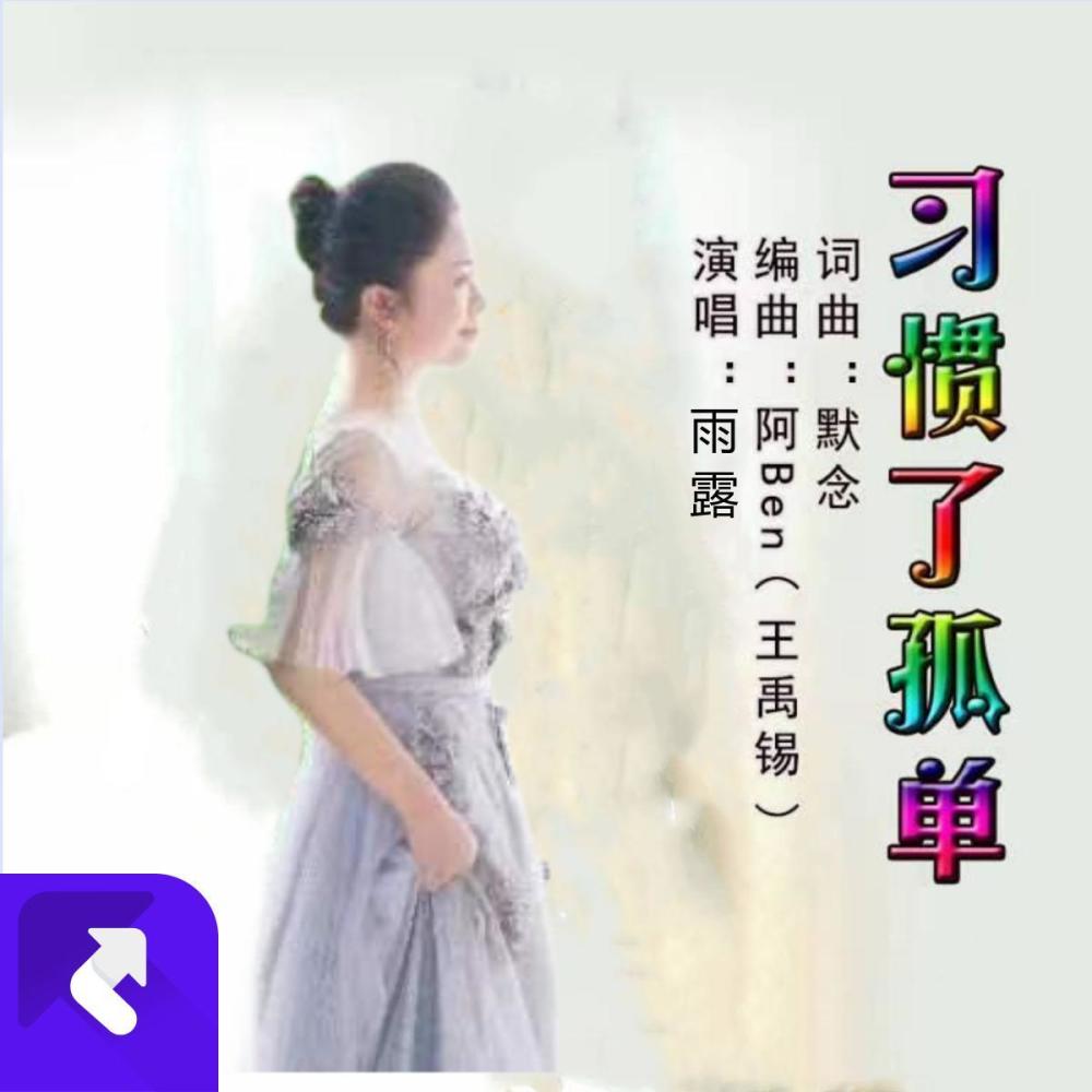 习惯了孤单 (伴奏)