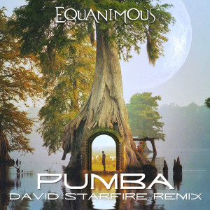 收聽Equanimous的Pumba (David Starfire Remix)歌詞歌曲