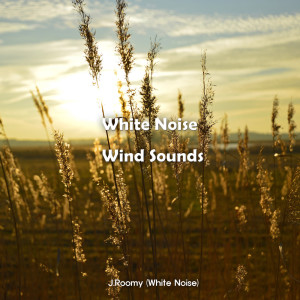 Listen to White Noise Wind Sounds (ASMR, Nature Sound) song with lyrics from J.Roomy